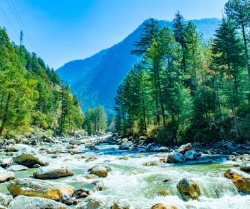 Tranquil Bliss: Exploring Tirthan and Jibhi Valley in Himachal Pradesh