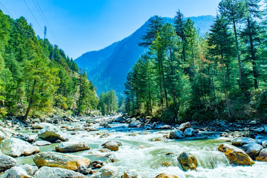 Tranquil Bliss: Exploring Tirthan and Jibhi Valley in Himachal Pradesh