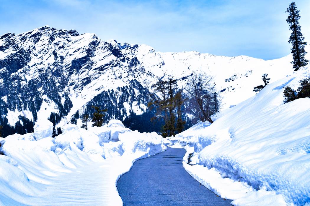 Shimla Manali Tour From Chandigarh